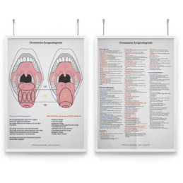 AMM & TCM Lehrtafel Zunge