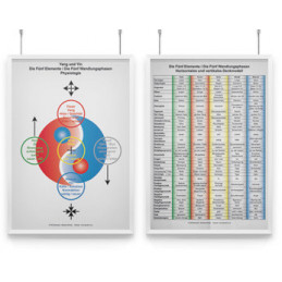 AMM & TCM Lehrtafel Yang & Yin