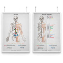 AMM & TCM Lehrtafel Mu- /...